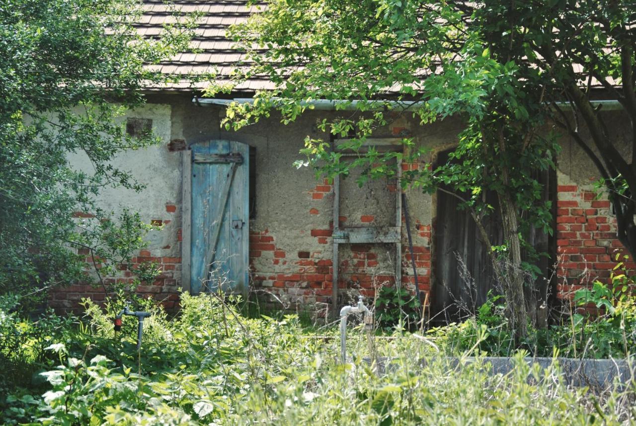 Ferienhaus Erna Villa Doberlug-Kirchhain Exterior photo